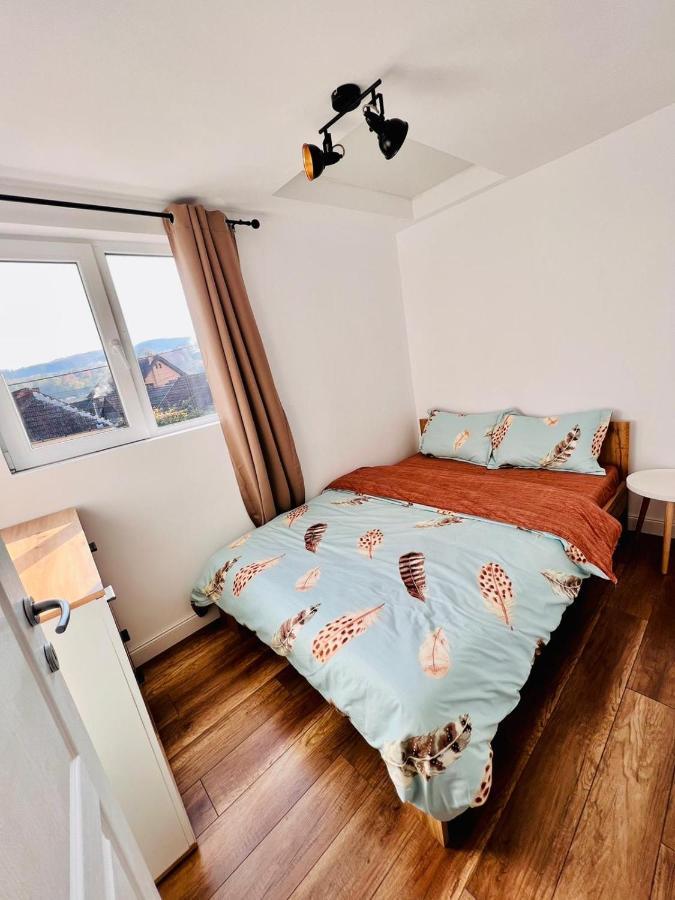 Master Adventure Guest House Vadul lui Carol II Exterior foto